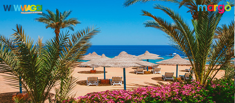 Offerta Last Minute - Esperienza di Lusso al Queen Sharm Resort, Sharm El Sheikh - Offerta Eden Viaggi